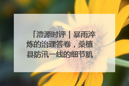 澧源时评｜暴雨淬炼的治理答卷，桑植县防汛一线的细节肌理与体系力量
