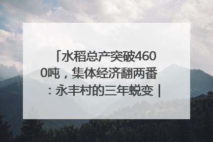 水稻总产突破4600吨，集体经济翻两番：永丰村的三年蜕变｜您牵挂的四川