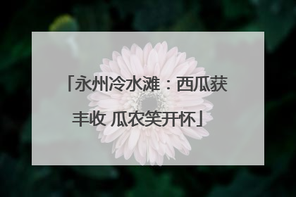 永州冷水滩：西瓜获丰收 瓜农笑开怀