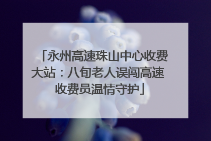 永州高速珠山中心收费大站：八旬老人误闯高速 收费员温情守护