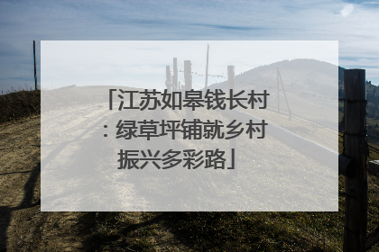 江苏如皋钱长村：绿草坪铺就乡村振兴多彩路