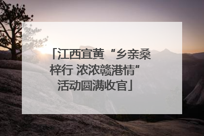 江西宜黄“乡亲桑梓行 浓浓赣港情”活动圆满收官