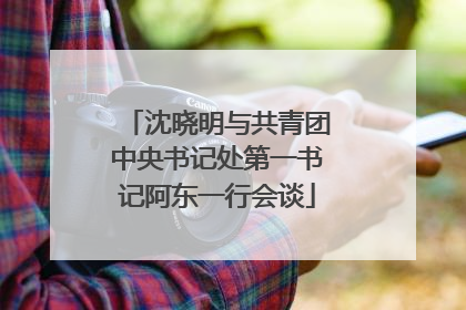 沈晓明与共青团中央书记处第一书记阿东一行会谈