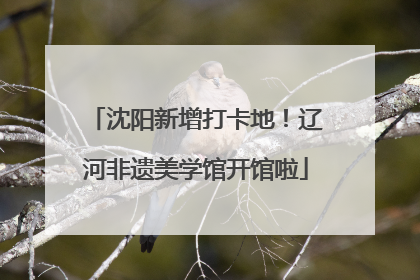 沈阳新增打卡地！辽河非遗美学馆开馆啦