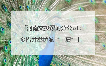 河南交投漯河分公司：多措并举护航“三夏”