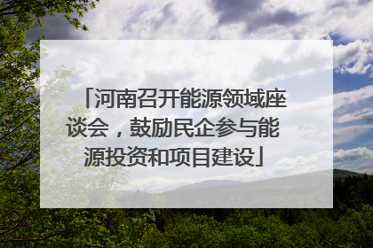 河南召开能源领域座谈会，鼓励民企参与能源投资和项目建设