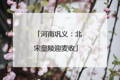 河南巩义：北宋皇陵迎麦收