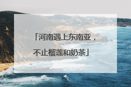 河南遇上东南亚，不止榴莲和奶茶