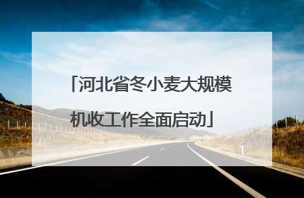 河北省冬小麦大规模机收工作全面启动