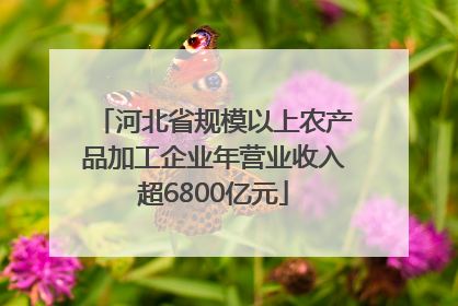 河北省规模以上农产品加工企业年营业收入超6800亿元