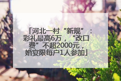 河北一村“新规”：彩礼最高6万，“改口费”不超2000元，婚宴限每户1人参加