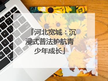 河北宽城：沉浸式普法护航青少年成长