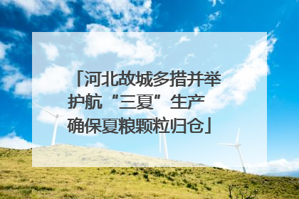 河北故城多措并举护航“三夏”生产 确保夏粮颗粒归仓