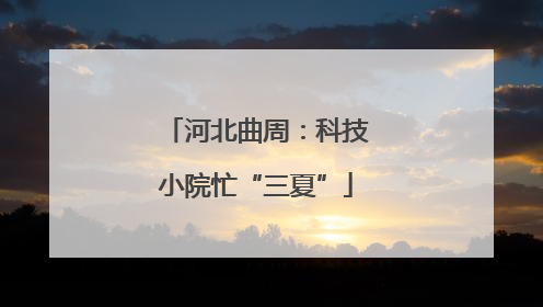 河北曲周：科技小院忙“三夏”