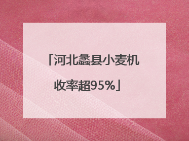 河北蠡县小麦机收率超95%