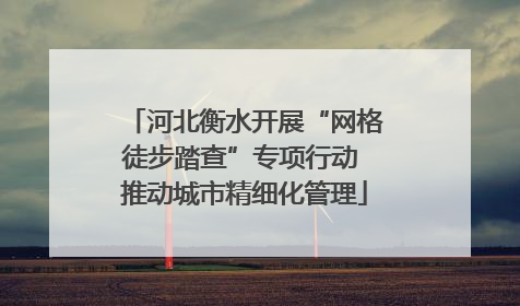 河北衡水开展“网格徒步踏查”专项行动 推动城市精细化管理