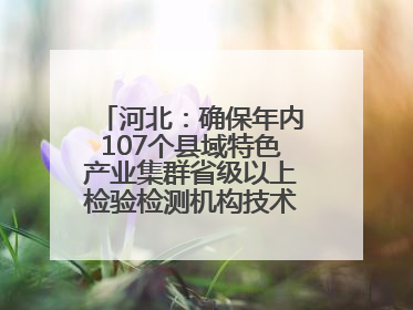 河北：确保年内107个县域特色产业集群省级以上检验检测机构技术服务全覆盖