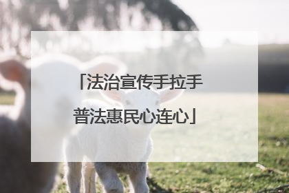 法治宣传手拉手 普法惠民心连心