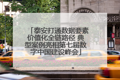 泰安打通数据要素价值化全链路径 典型案例亮相第七届数字中国建设峰会