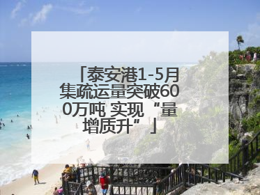 泰安港1-5月集疏运量突破600万吨 实现“量增质升”