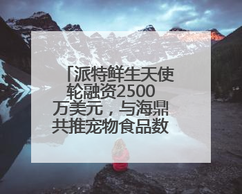 派特鲜生天使轮融资2500万美元，与海鼎共推宠物食品数智化升级