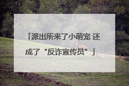 派出所来了小萌宠 还成了“反诈宣传员”