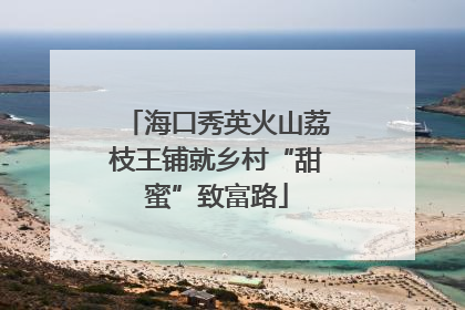 海口秀英火山荔枝王铺就乡村“甜蜜”致富路