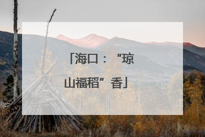 海口：“琼山福稻”香