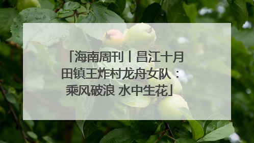 海南周刊丨昌江十月田镇王炸村龙舟女队：乘风破浪 水中生花