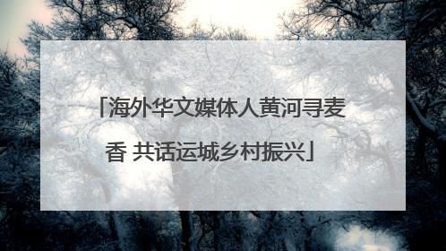 海外华文媒体人黄河寻麦香 共话运城乡村振兴