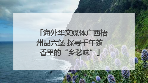 海外华文媒体广西梧州品六堡 探寻千年茶香里的“乡愁味”