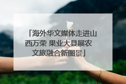 海外华文媒体走进山西万荣 果业大县展农文旅融合新图景
