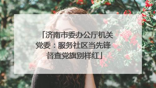 济南市委办公厅机关党委：服务社区当先锋 督查党旗别样红