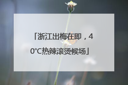 浙江出梅在即，40℃热辣滚烫候场