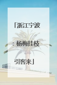 浙江宁波：杨梅挂枝引客来