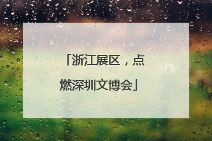 浙江展区，点燃深圳文博会