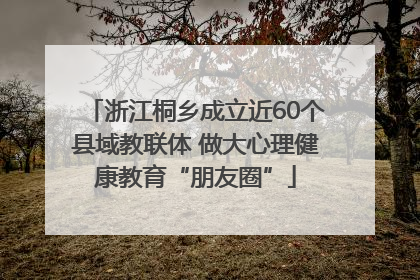 浙江桐乡成立近60个县域教联体 做大心理健康教育“朋友圈”