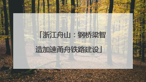 浙江舟山：钢桥梁智造加速甬舟铁路建设