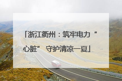 浙江衢州：筑牢电力“心脏” 守护清凉一夏