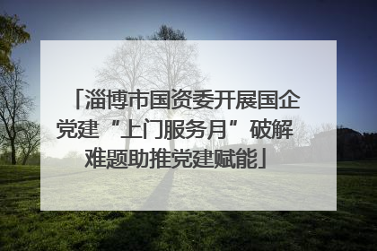 淄博市国资委开展国企党建“上门服务月”破解难题助推党建赋能