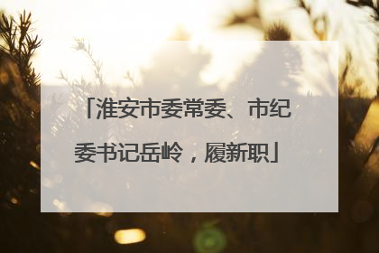 淮安市委常委、市纪委书记岳岭，履新职