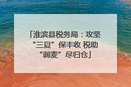 淮滨县税务局：攻坚“三夏”保丰收 税助“弱麦”尽归仓