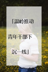 温岭推动青年干部下沉一线