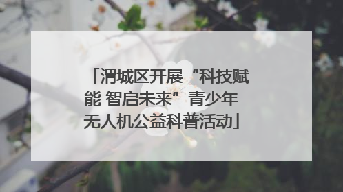 渭城区开展“科技赋能 智启未来”青少年无人机公益科普活动