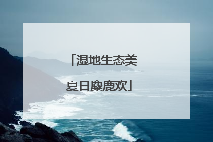 湿地生态美 夏日麋鹿欢