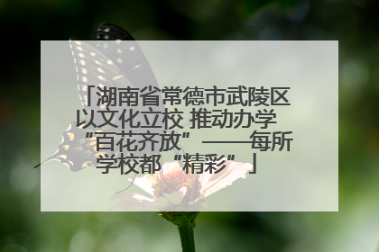 湖南省常德市武陵区以文化立校 推动办学“百花齐放”——每所学校都“精彩”