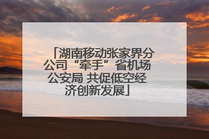 湖南移动张家界分公司“牵手”省机场公安局 共促低空经济创新发展