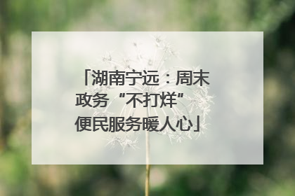 湖南宁远：周末政务“不打烊” 便民服务暖人心