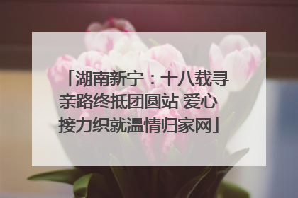 湖南新宁：十八载寻亲路终抵团圆站 爱心接力织就温情归家网