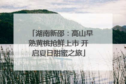 湖南新邵：高山早熟黄桃抢鲜上市 开启夏日甜蜜之旅